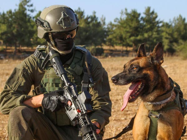 боевые псы ЦАХАЛа